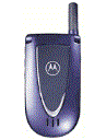 Best available price of Motorola V66i in Liechtenstein