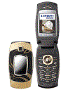 Best available price of Samsung E500 in Liechtenstein